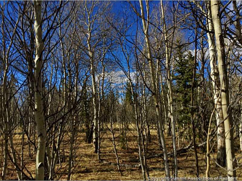 245 Osprey Road Como, CO 80432 - Photo 19 of 19 a backyard of a house