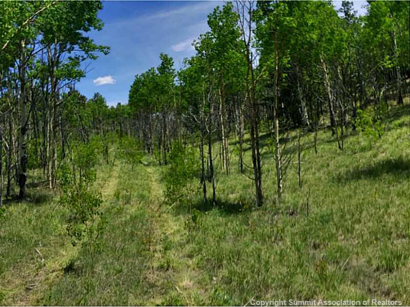 245 Osprey Road Como, CO 80432 - Photo 3 of 19 a view of a lush green space
