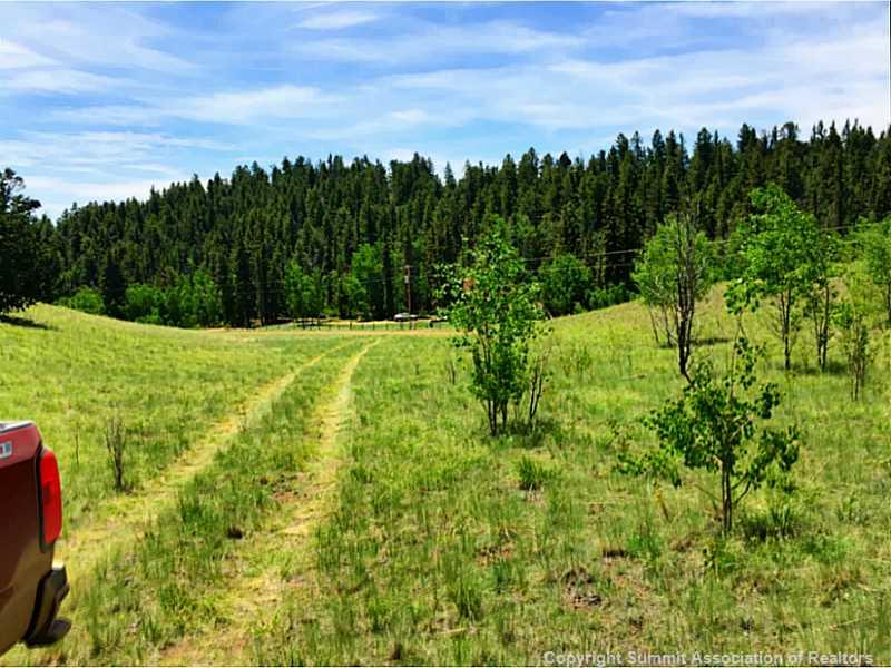 245 Osprey Road Como, CO 80432 - Photo 5 of 19 a view of a big yard with large trees