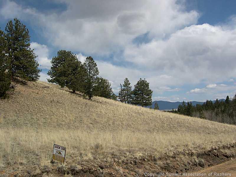 245 Osprey Road Como, CO 80432 - Photo 7 of 19 a view of a dry yard with trees