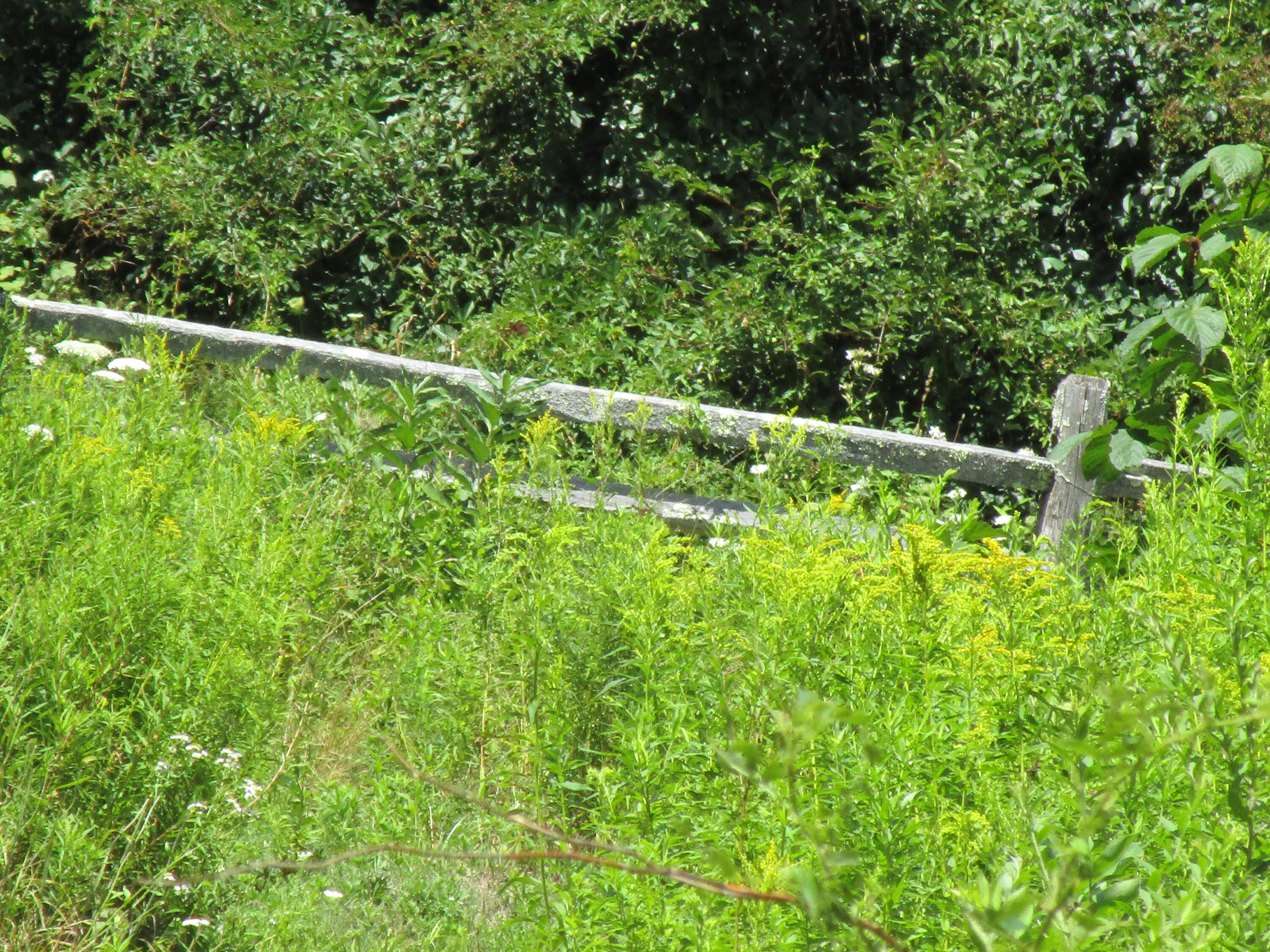 136 Branch Mills Road South China, ME 04358 - Photo 12 of 15 IMG_0726