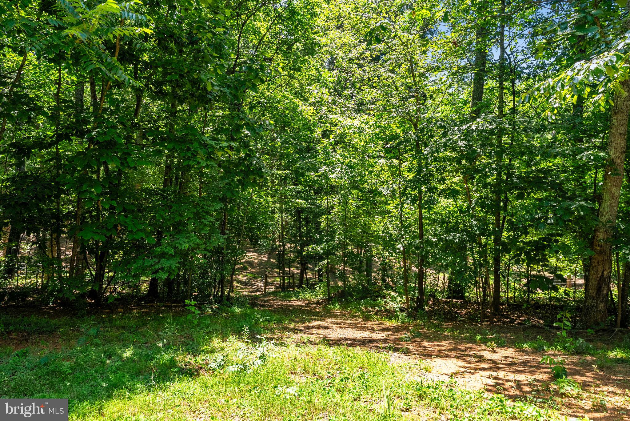 10275 Mountain Run Lake Road Culpeper, VA 22701 - Photo 80 of 89