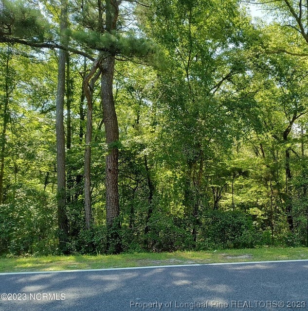 a view of a yard with a trees