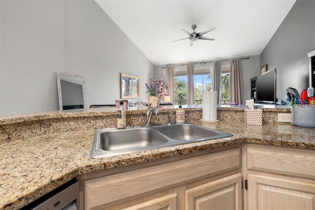 1039 Normandy Trace Road, Unit 1039 Tampa, FL 33602 - Photo 13 of 19 a kitchen with granite countertop a sink and a window
