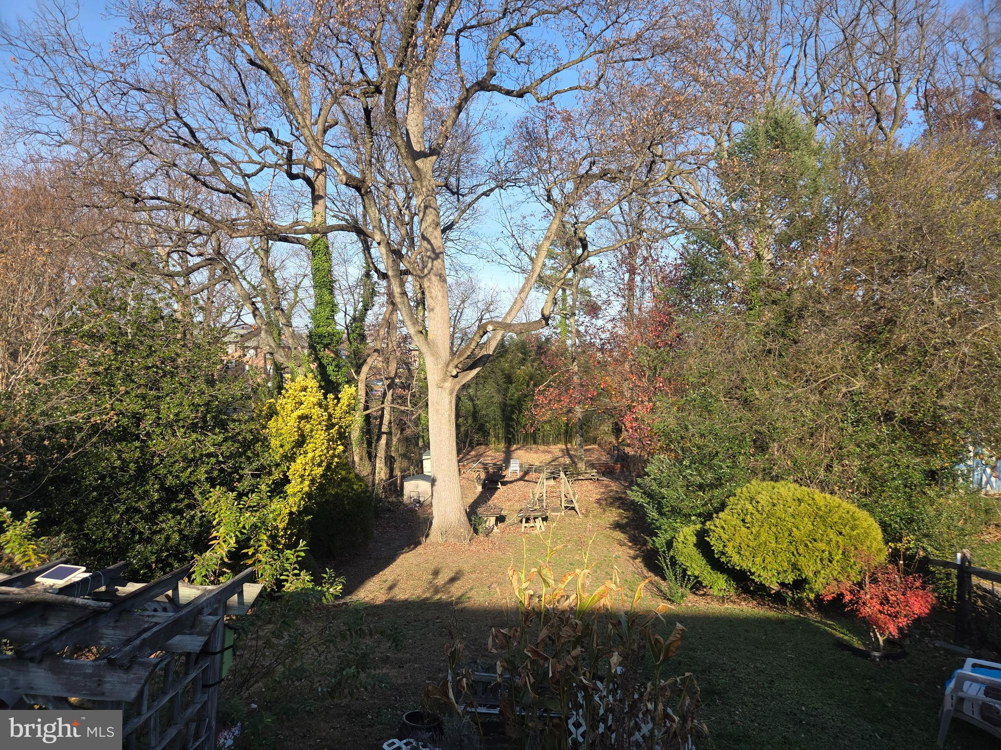 4106 Link Avenue Baltimore, MD 21236 - Photo 2 of 3 a view of a park with large trees