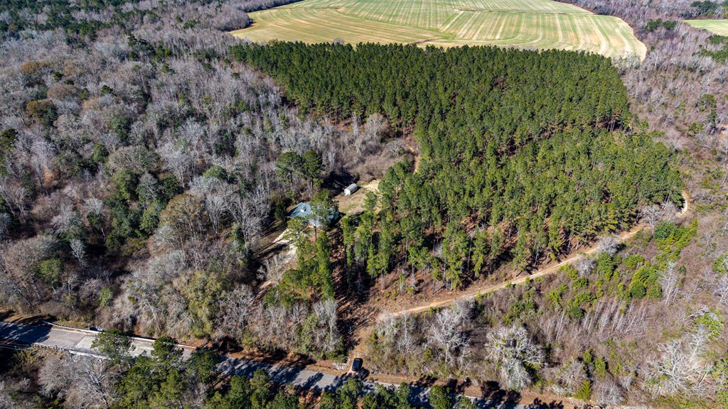 0 Bruner Pond Road Ashford, AL 36312 - Photo 12 of 30
