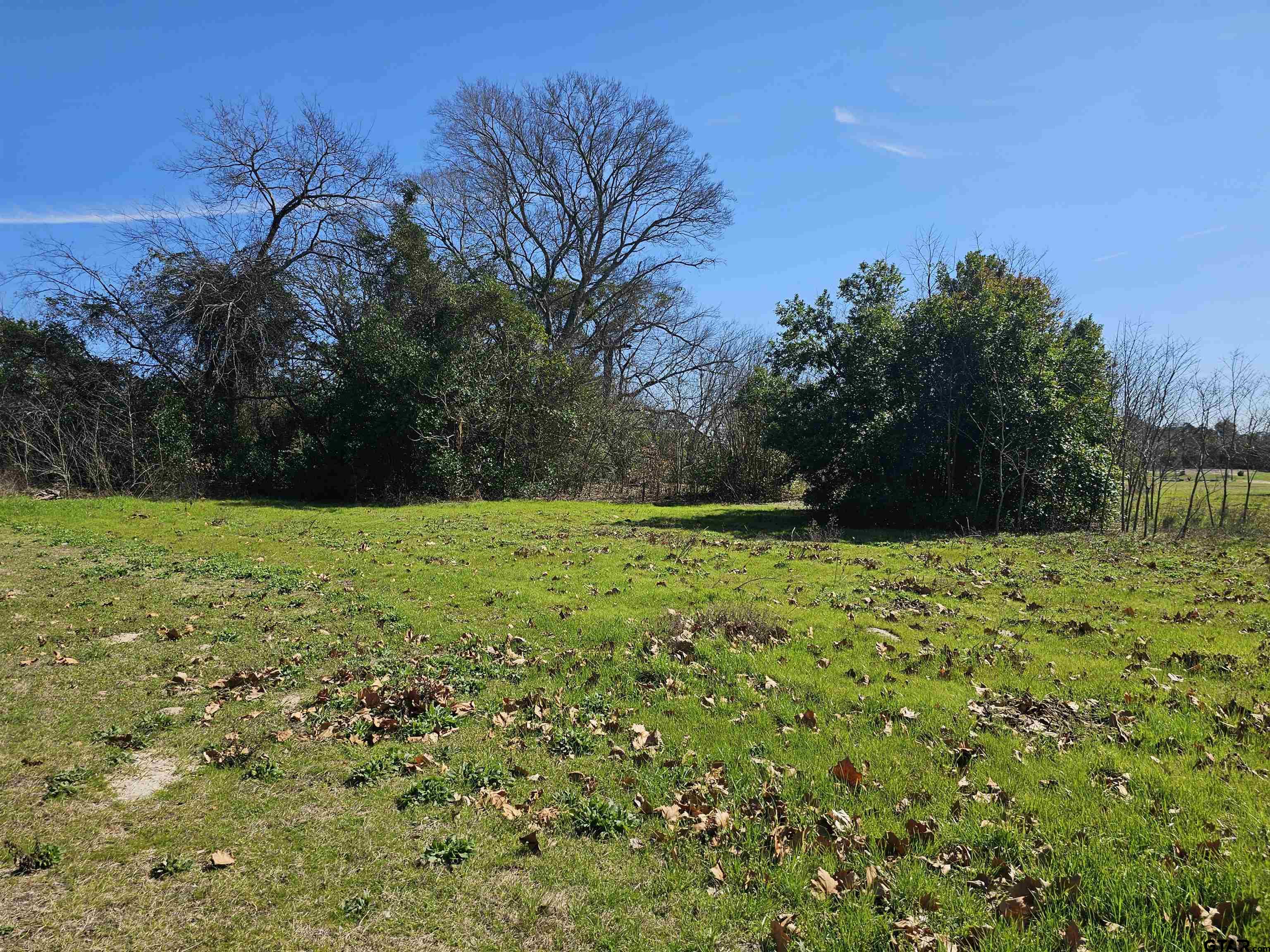 1002 ( 58 Acres) Big Sandy, TX 75755 - Photo 1 of 6