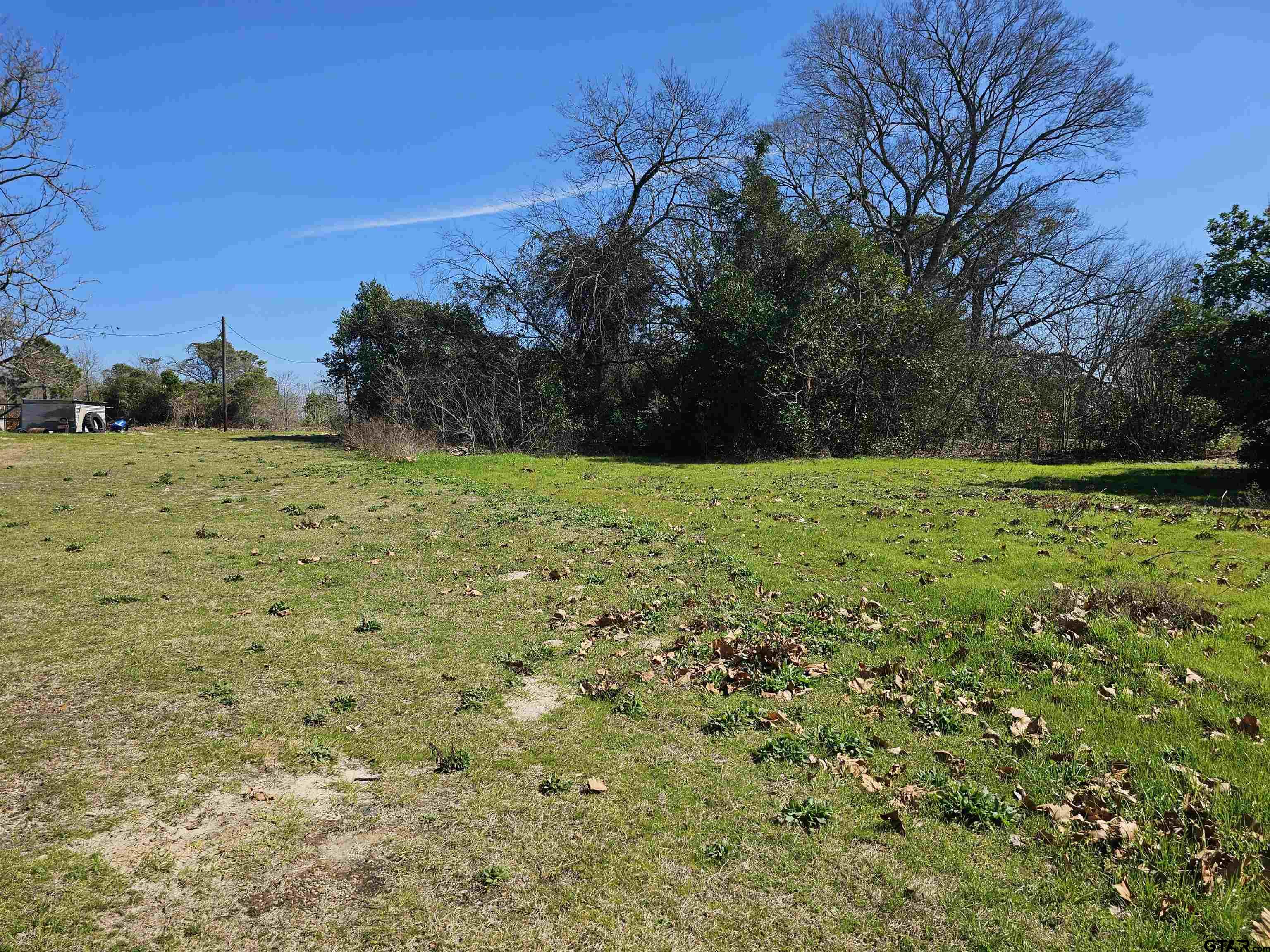 1002 ( 58 Acres) Big Sandy, TX 75755 - Photo 2 of 6