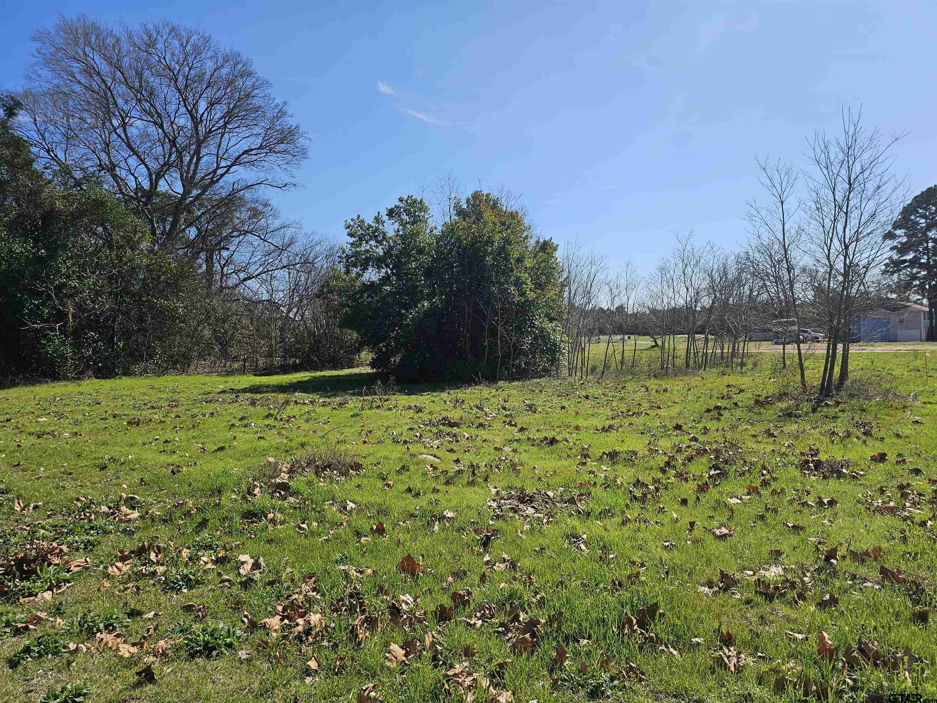 1002 ( 58 Acres) Big Sandy, TX 75755 - Photo 3 of 6