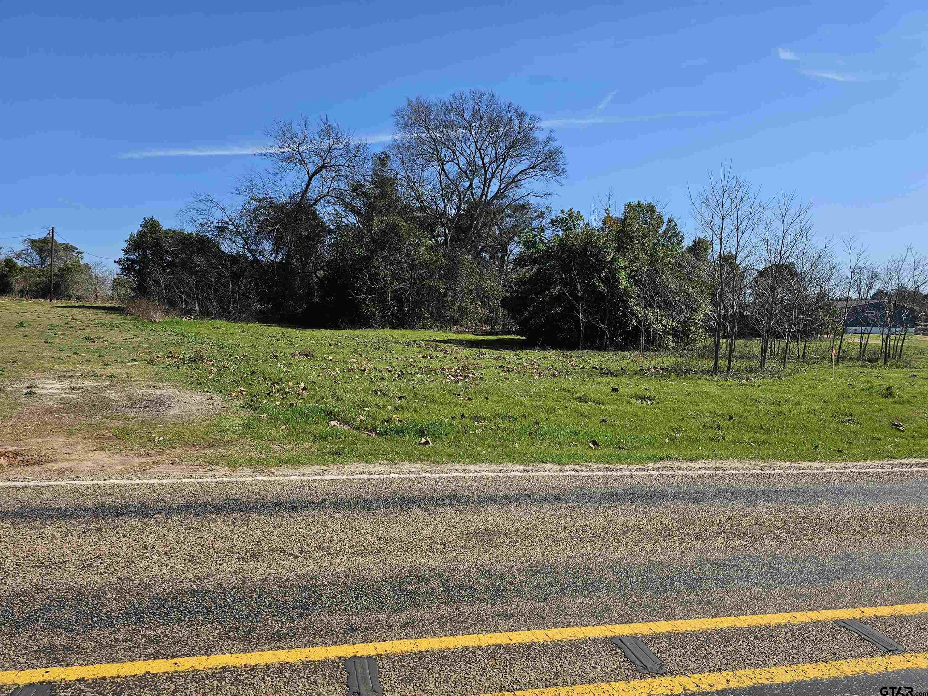 1002 ( 58 Acres) Big Sandy, TX 75755 - Photo 4 of 6