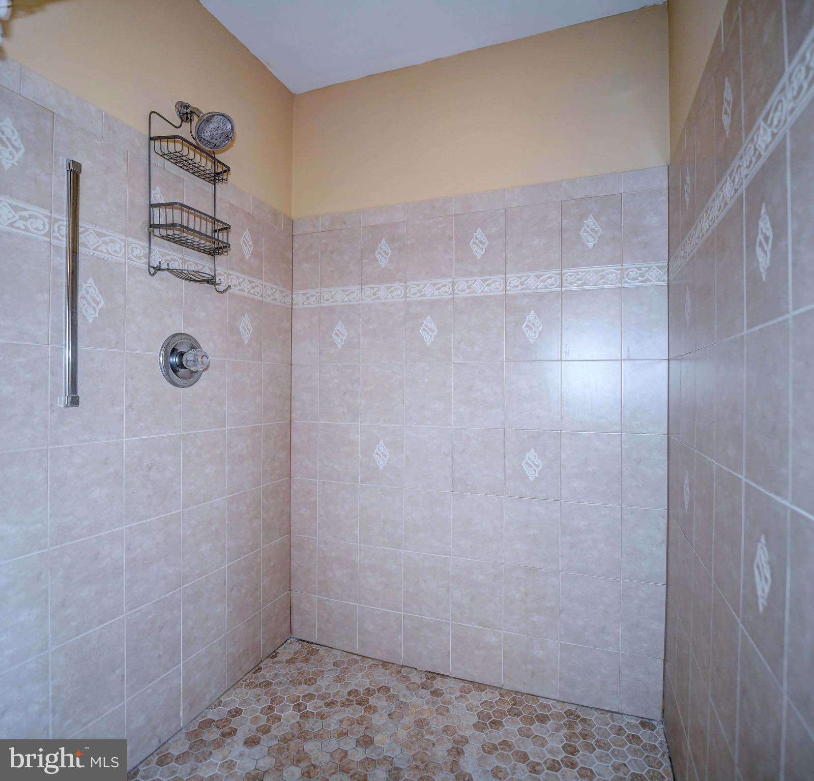 1703 Cosner Road Forest Hill, MD 21050 - Photo 20 of 44 Roll-in Shower in master bathroom