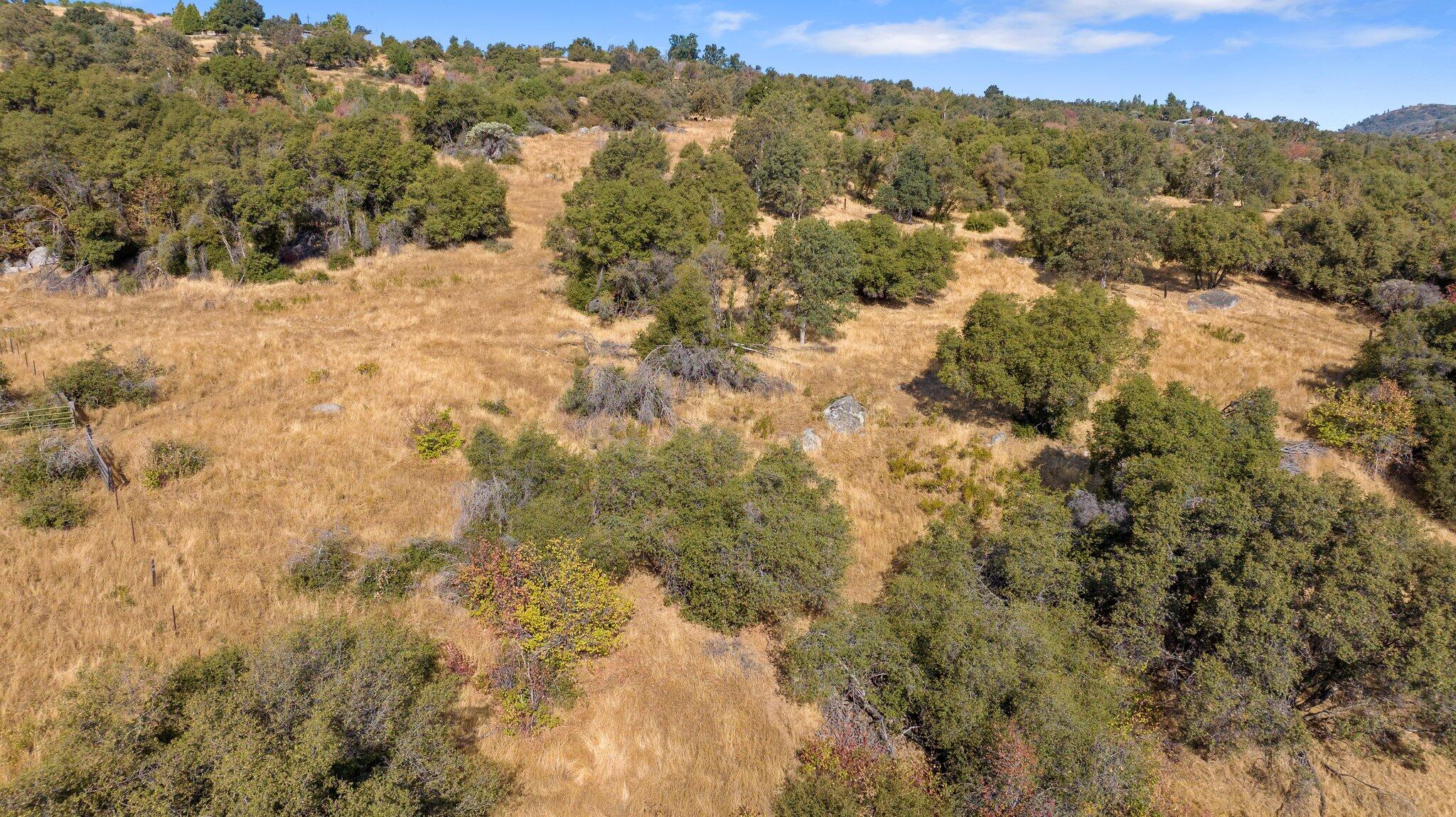 0 Whitaker Forest Road Badger, CA 93603 - Photo 6 of 13 12-web-or-mls-DJI_20241007094426_0428_D