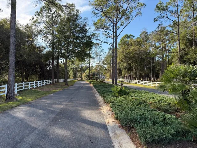 a view of a park with large trees
