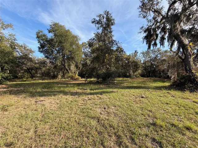a view of a yard with large trees
