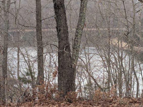 0 Old Mt View Road Manchester, TN 37355 - Photo 3 of 15