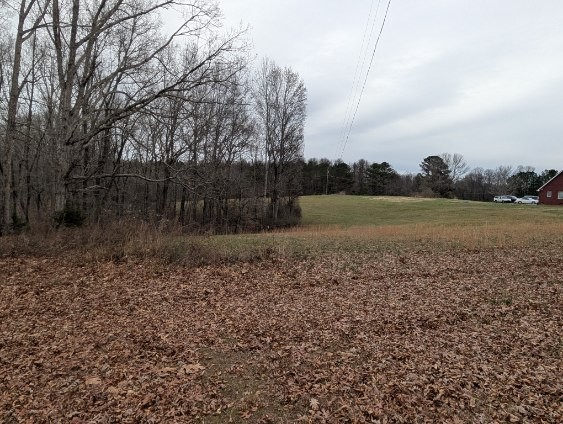 0 Old Mt View Road Manchester, TN 37355 - Photo 5 of 15 a view of outdoor space and yard