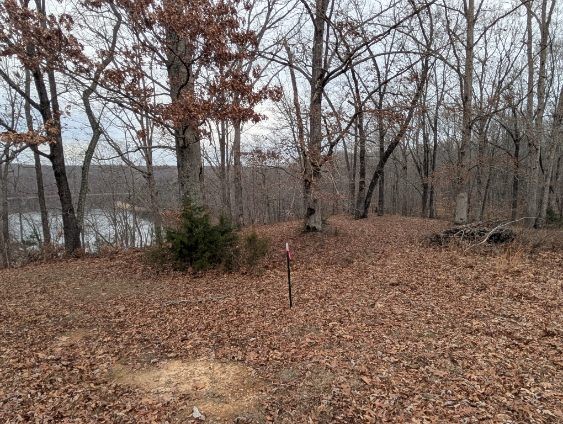 0 Old Mt View Road Manchester, TN 37355 - Photo 6 of 15 a view of backyard with green space