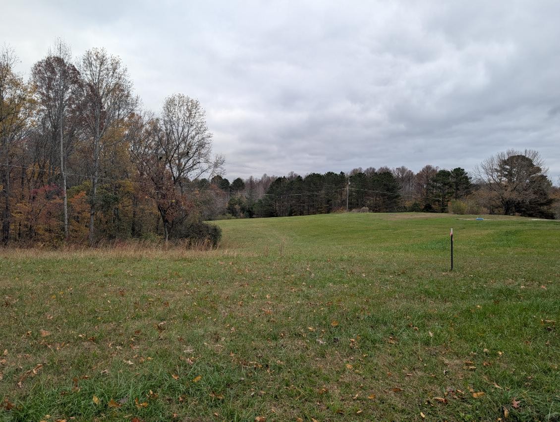 0 Old Mt View Road Manchester, TN 37355 - Photo 8 of 15 a view of a field with grass