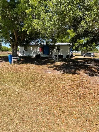 a view of a yard with plants and trees