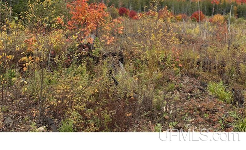 80-acres 80-acres Off Stack Grade Road Skandia, MI 49885 - Photo 1 of 1