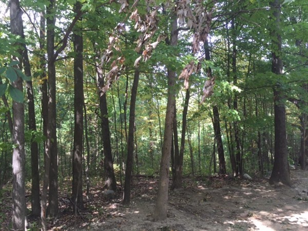 Lot 6 Baker Hill Road Northampton, MA 01062 - Photo 1 of 3 Gallery Image 1