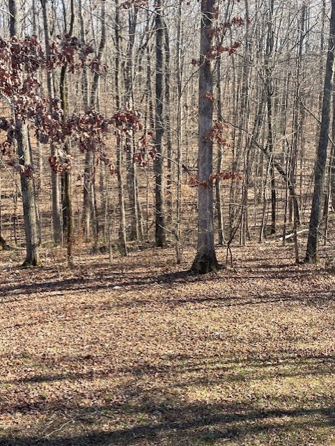 450 Eagle Factory Road Lawrenceburg, TN 38464 - Photo 11 of 18 Gallery Image 11