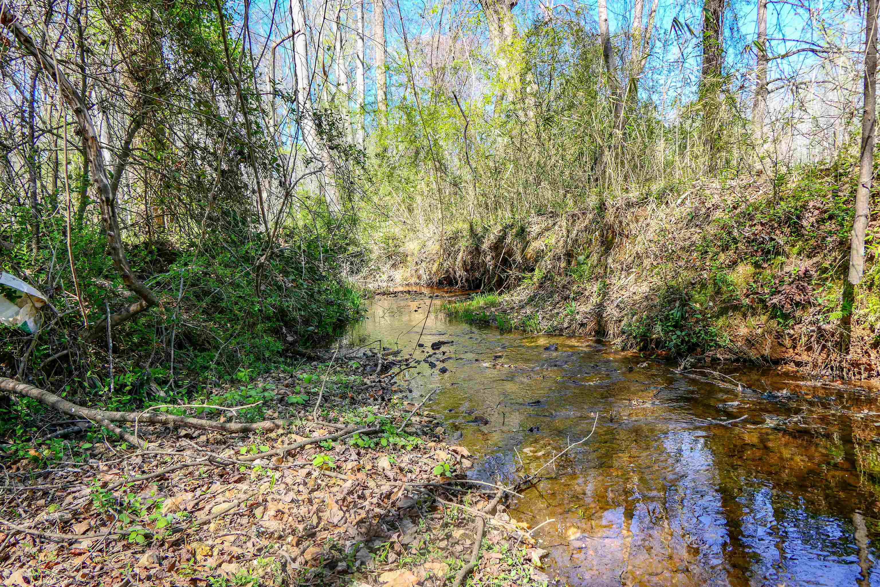 418 North Green River Road Gaffney, SC 29341 - Photo 11 of 18