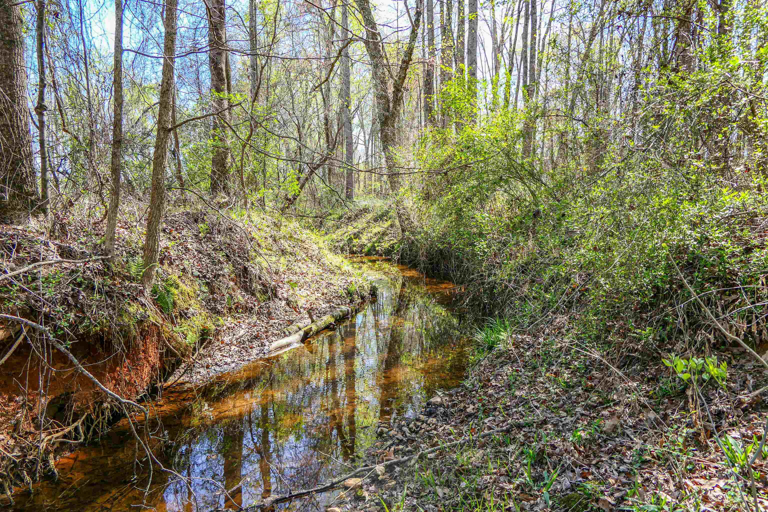 418 North Green River Road Gaffney, SC 29341 - Photo 12 of 18