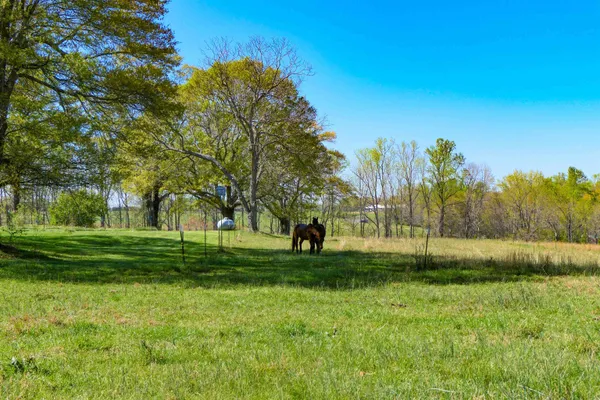 $479,000 | 418 North Green River Road, Gaffney, SC 29341