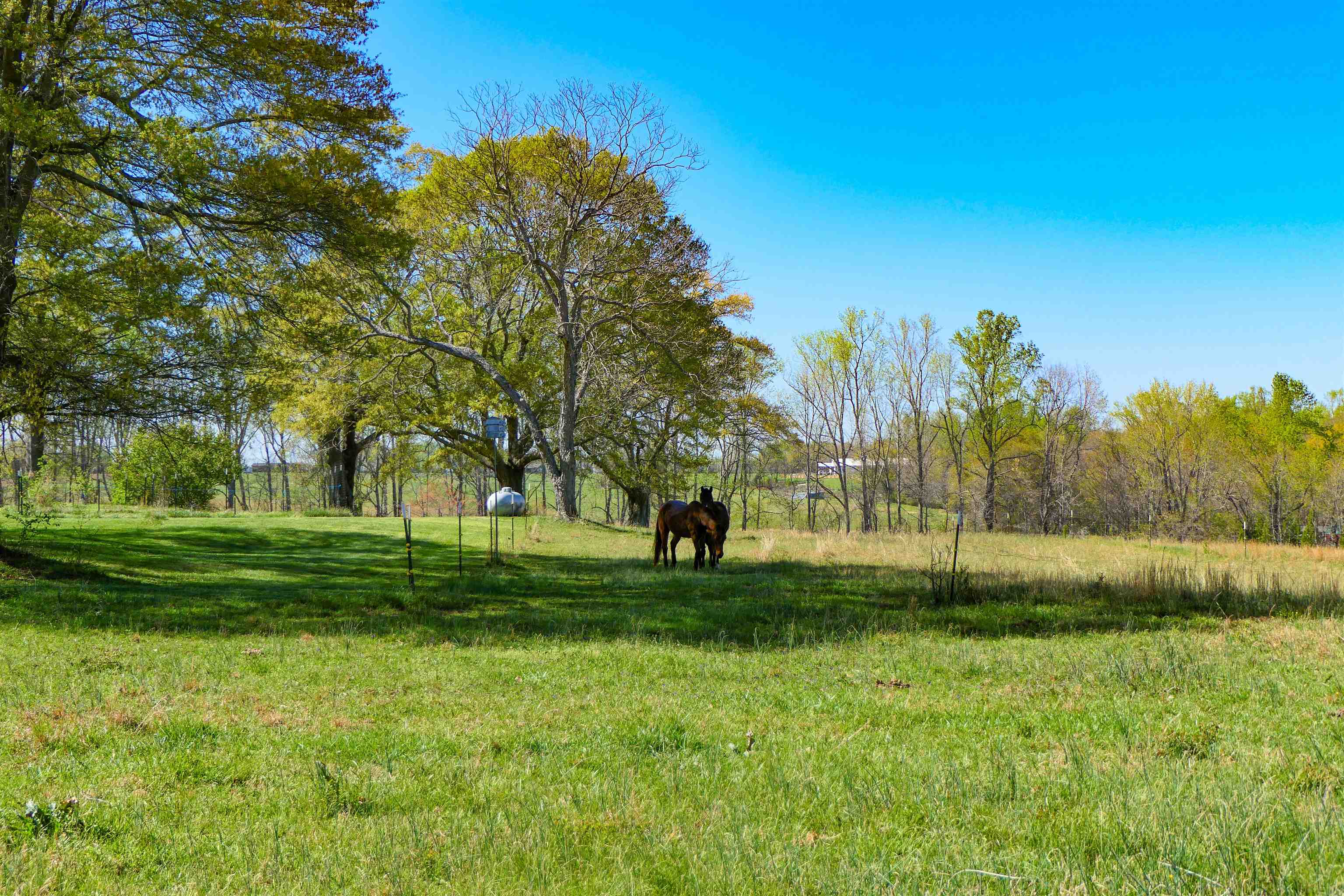418 North Green River Road Gaffney, SC 29341 - Photo 14 of 18