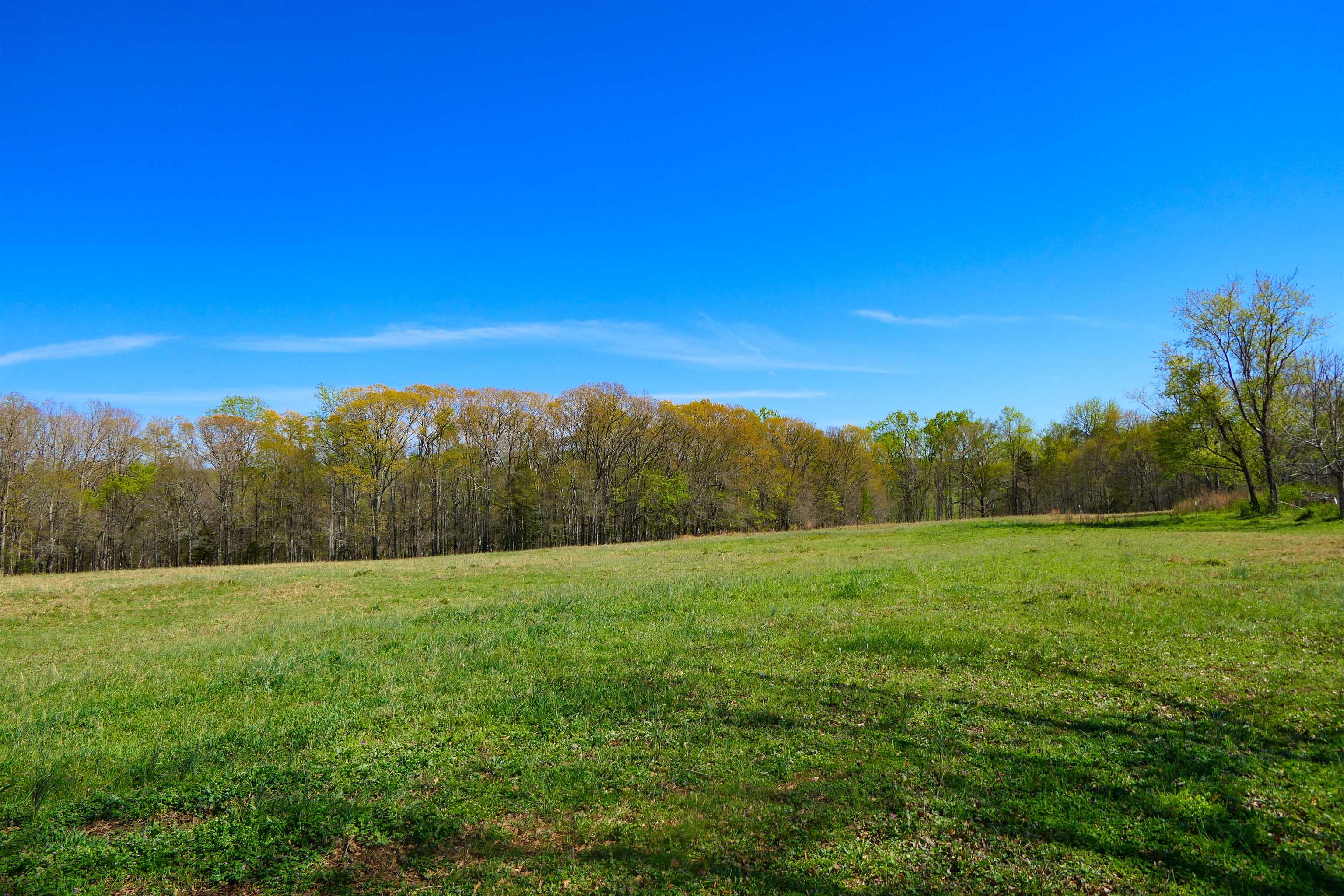 418 North Green River Road Gaffney, SC 29341 - Photo 15 of 18