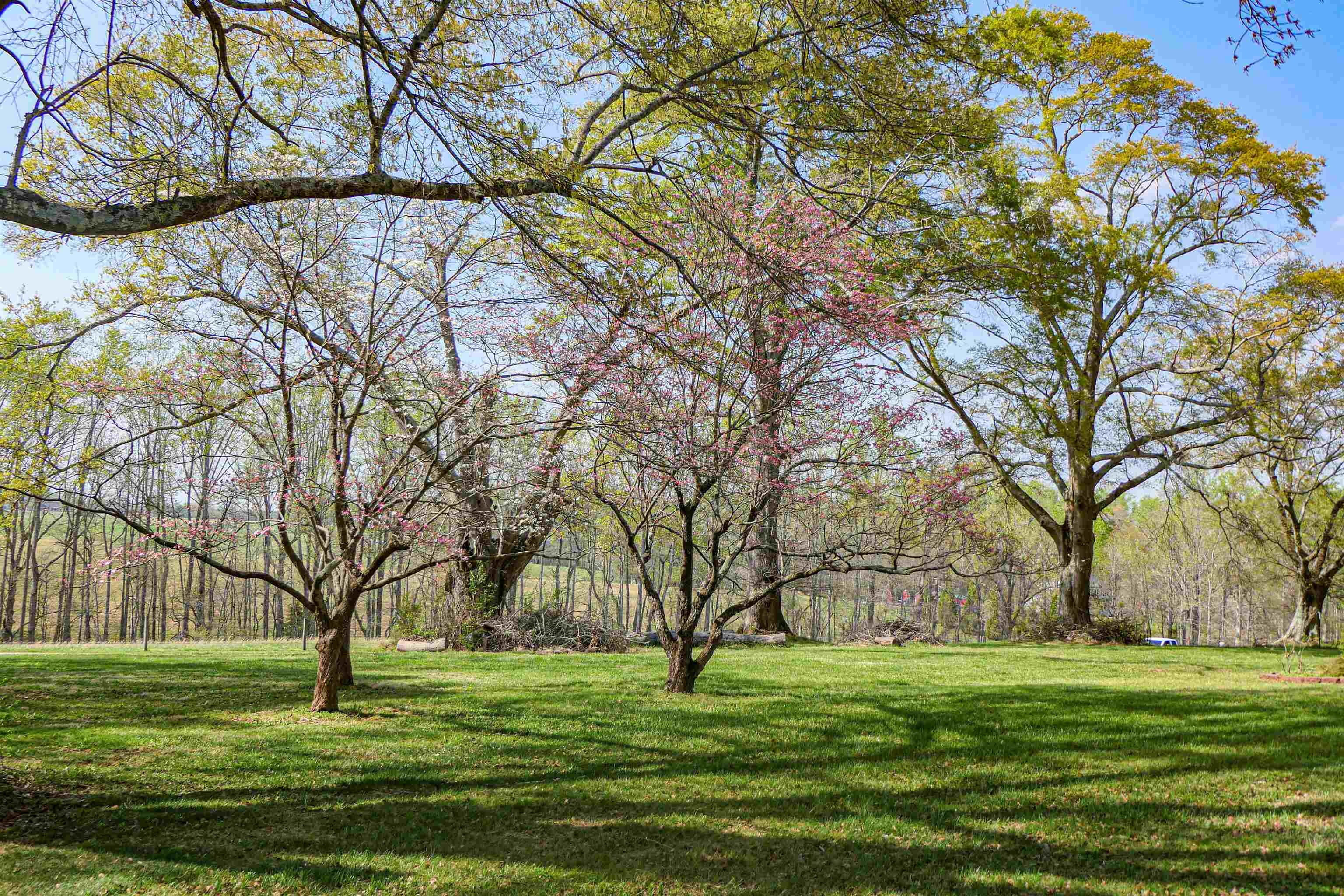 418 North Green River Road Gaffney, SC 29341 - Photo 16 of 18