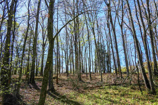 $479,000 | 418 North Green River Road, Gaffney, SC 29341