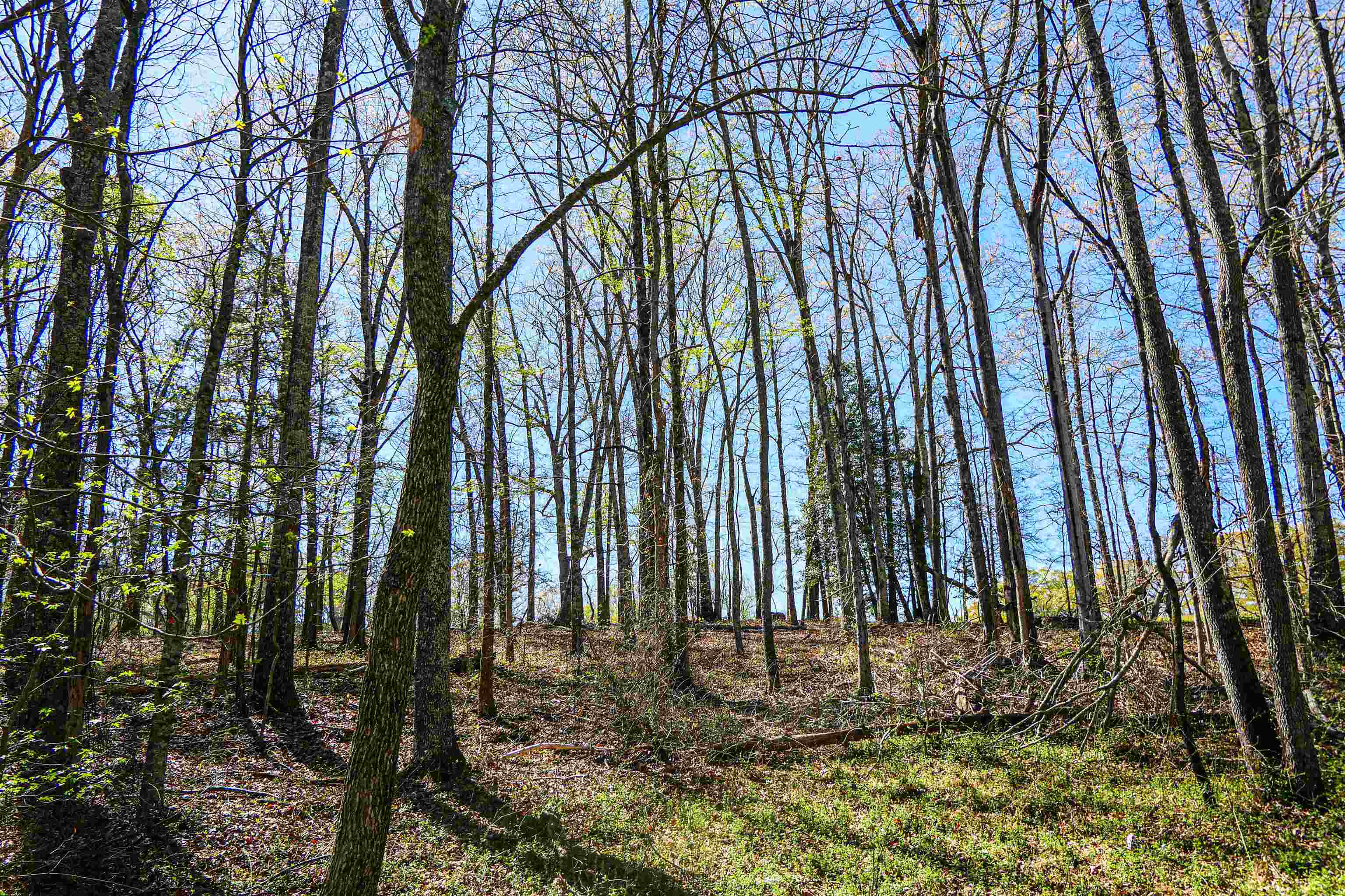 418 North Green River Road Gaffney, SC 29341 - Photo 17 of 18