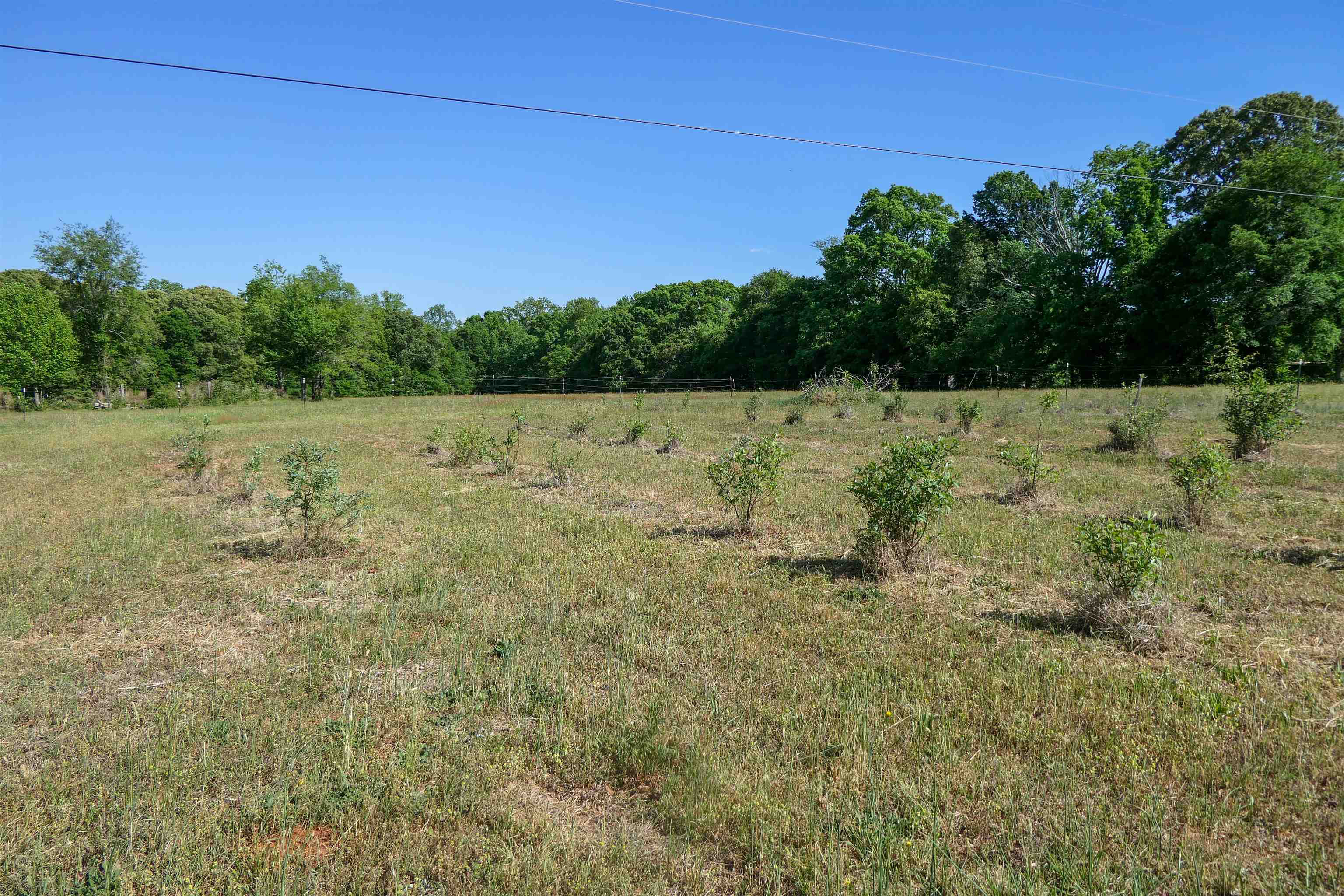 418 North Green River Road Gaffney, SC 29341 - Photo 28 of 30