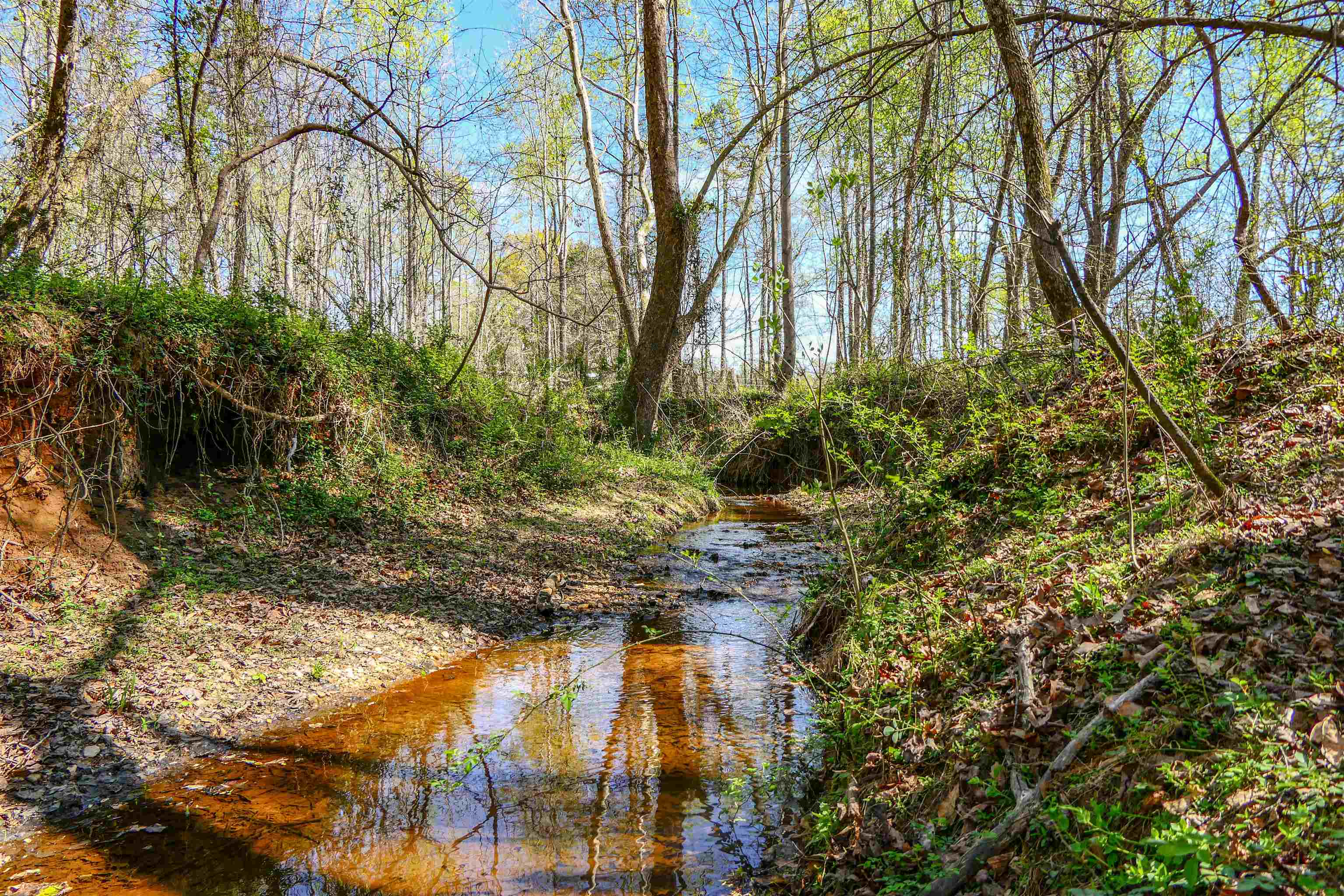 418 North Green River Road Gaffney, SC 29341 - Photo 10 of 18
