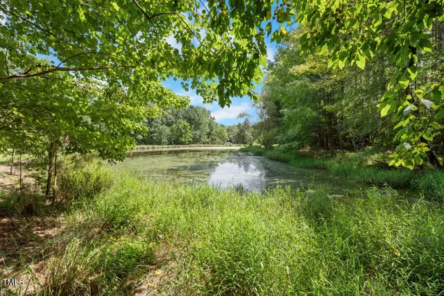 a view of lake with green space