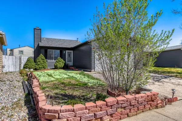 a view of backyard with patio