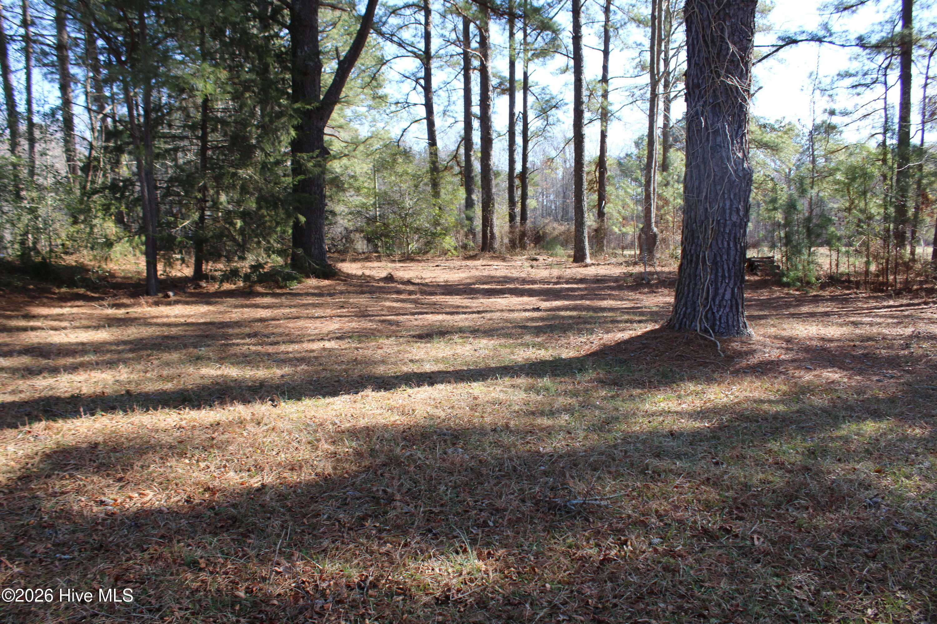 2158 Jr Road Kenly, NC 27542 - Photo 6 of 24 IMG_0246