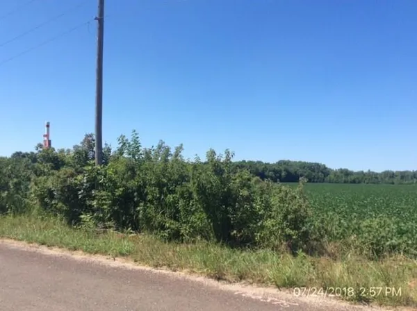 $1,200,000 | 39502 East Gillespie Road, Oak Grove, MO 64075