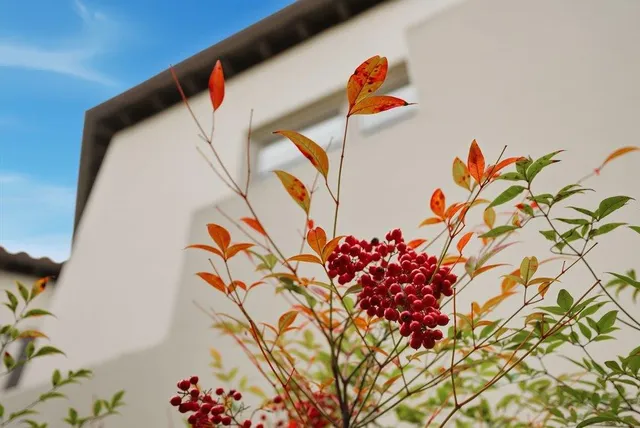 $988,000 | 141 West 3rd Avenue, San Mateo, CA 94402