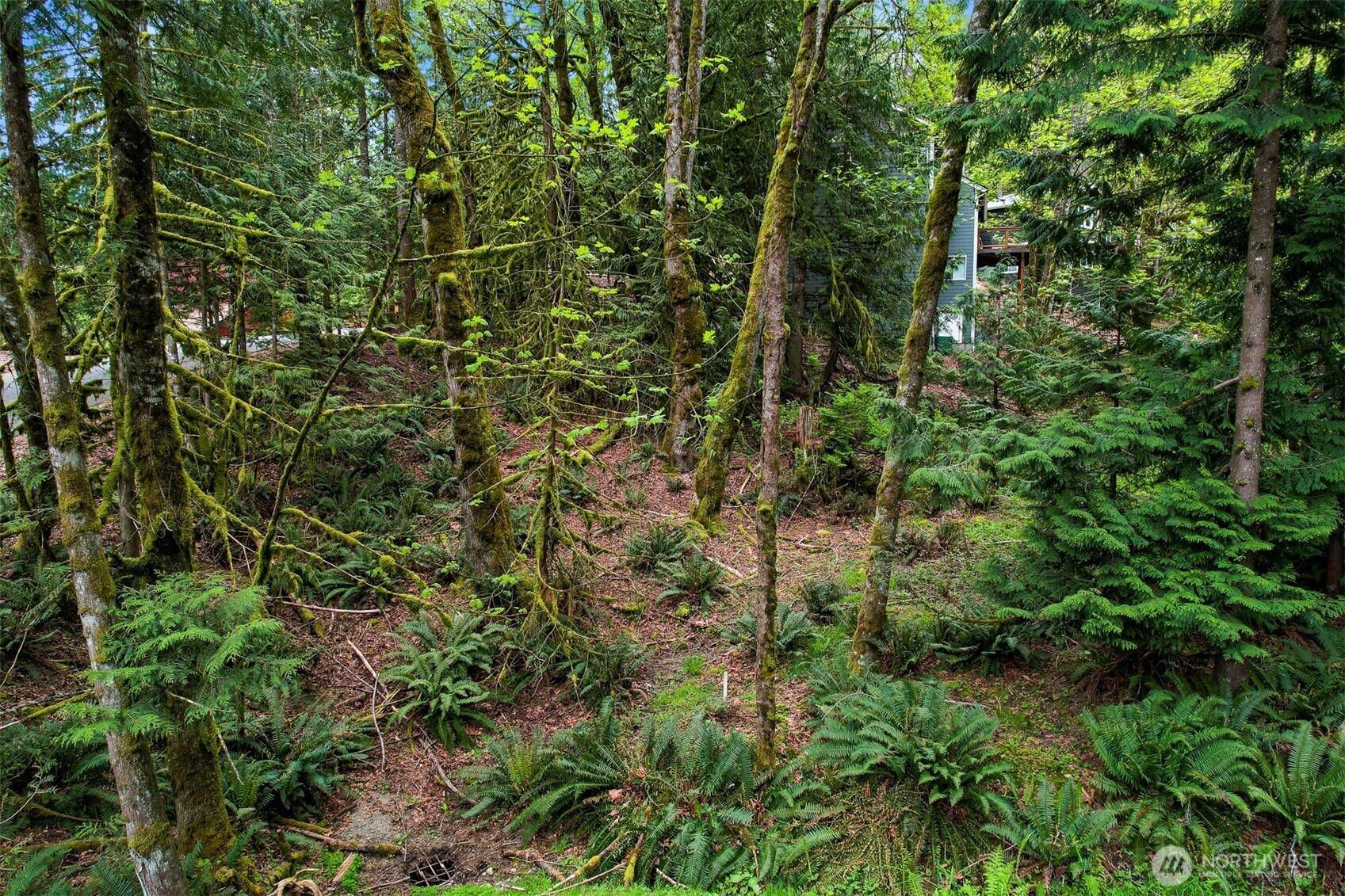 4 Indian Ridge Court Bellingham, WA 98229 - Photo 26 of 27