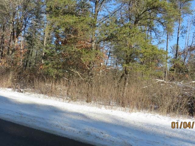 Lot 1 Center Road Tomahawk, WI 54487 - Photo 7 of 15 Gallery Image 7