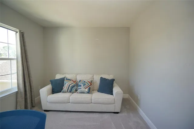 $3,800 | 22990 Scaglione Drive, Lutz, FL 33549