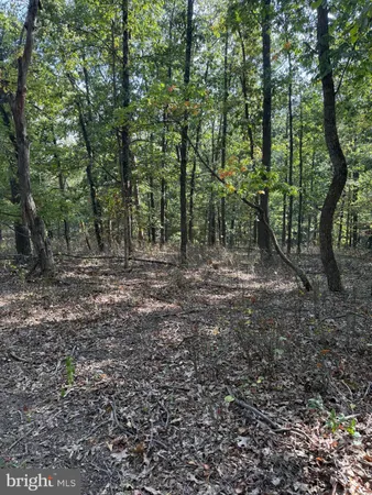 a view of outdoor space with green space