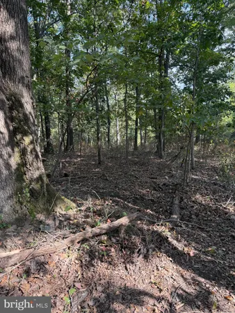 a backyard of a house with a tree