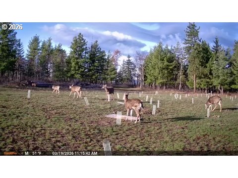 7857 Skyline Road The Dalles, OR 97058 - Photo 39 of 41
