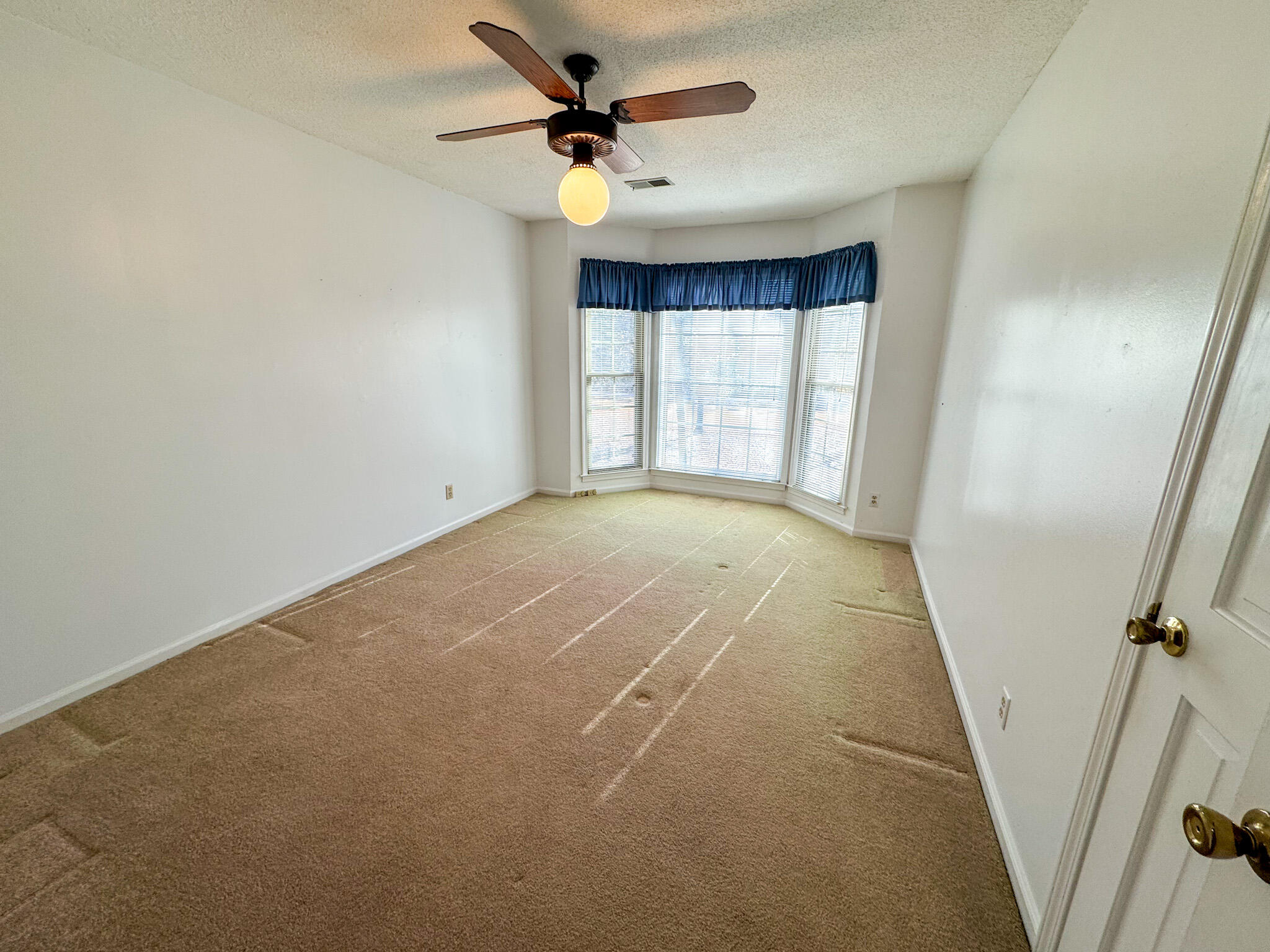 388 State Rd S-15-379 Walterboro, SC 29488 - Photo 52 of 81 IMG_2902