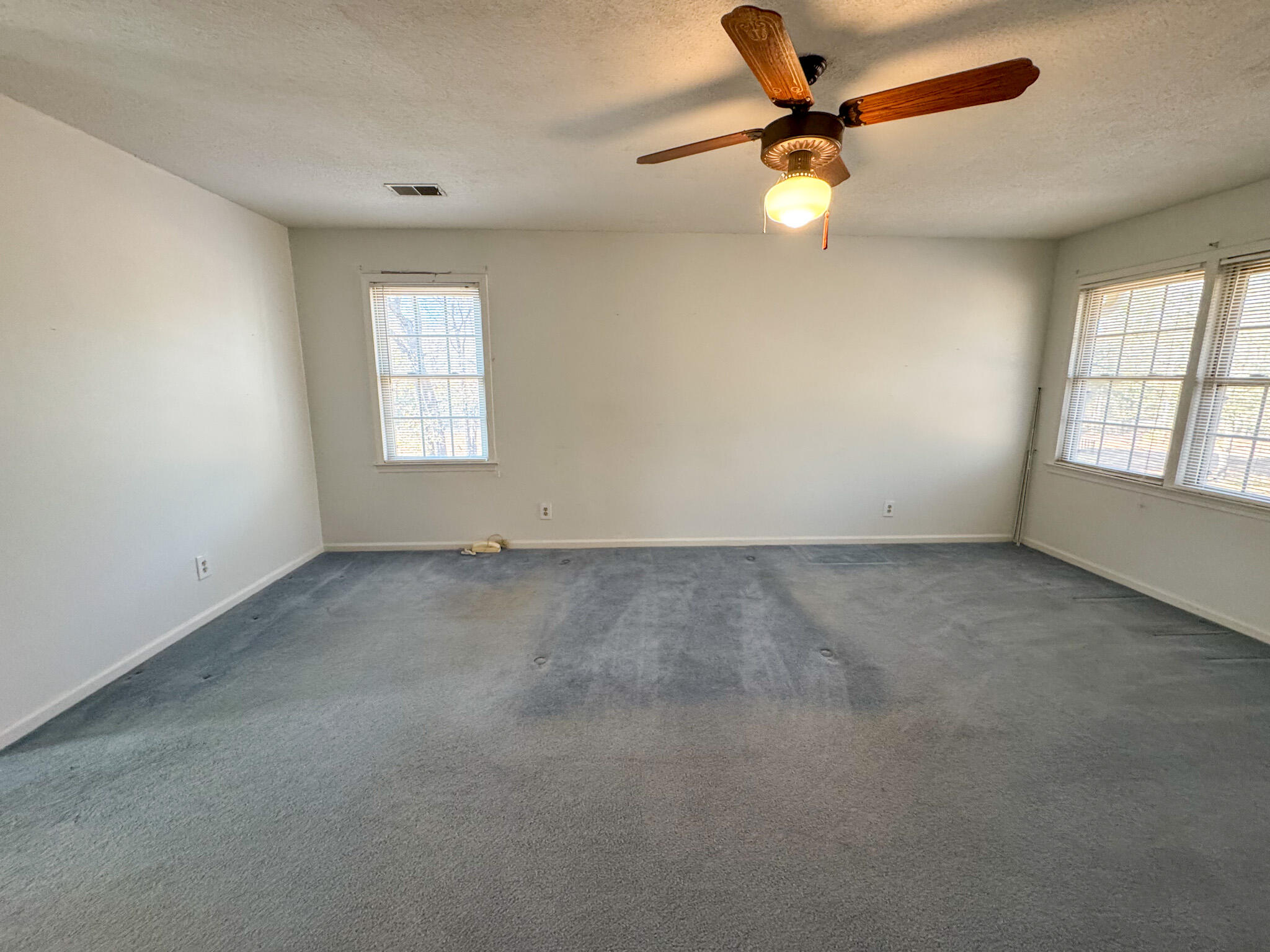 388 State Rd S-15-379 Walterboro, SC 29488 - Photo 59 of 81 IMG_2909