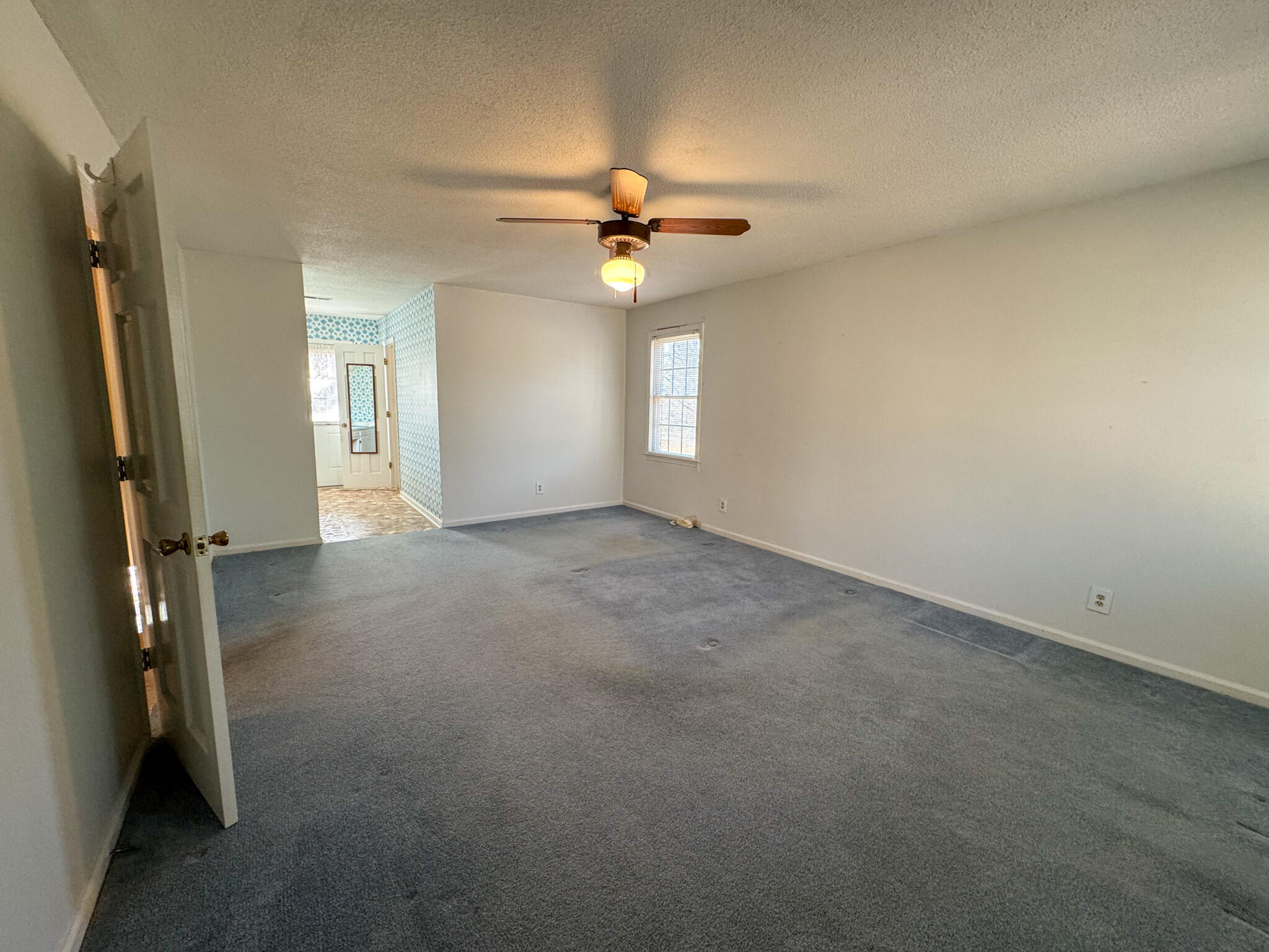 388 State Rd S-15-379 Walterboro, SC 29488 - Photo 60 of 81 IMG_2910